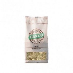 TRIGO SARRACENO 500G 