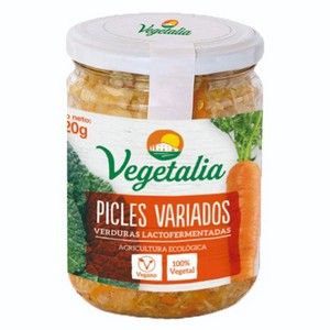 PICLES VARIADA 300GR 